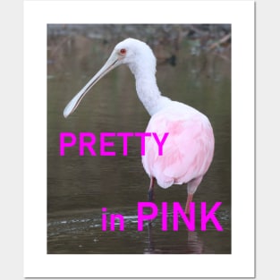 Pretty in Pink Posters and Art